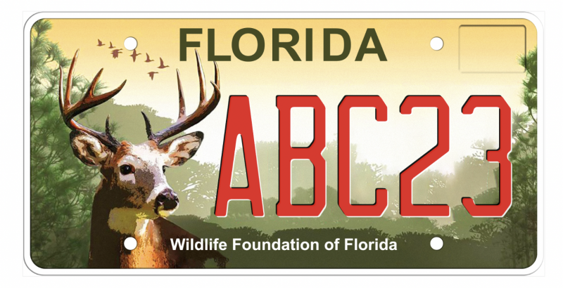 Wildlife Foundation of Florida Specialty Plate